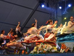 Festival de Folkore en Mula